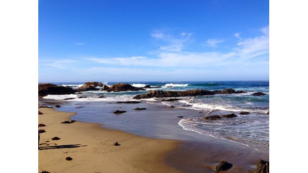 Admiration on The Sea Shore