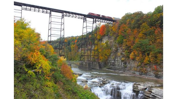 Site Seeing at The State Park