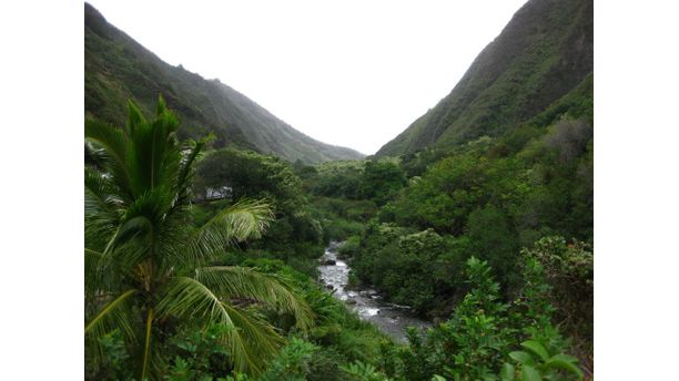 Iao Valley