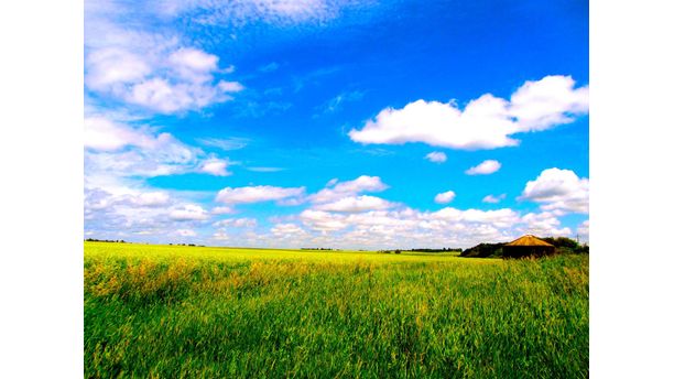 Heart of the Prairies