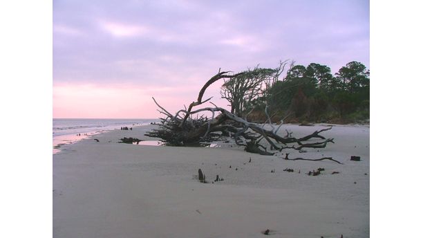 Driftwood Beach at Sunrise