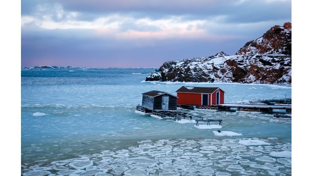 Ice Pans Of Newfoundland