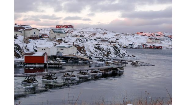 Newfoundland Winter