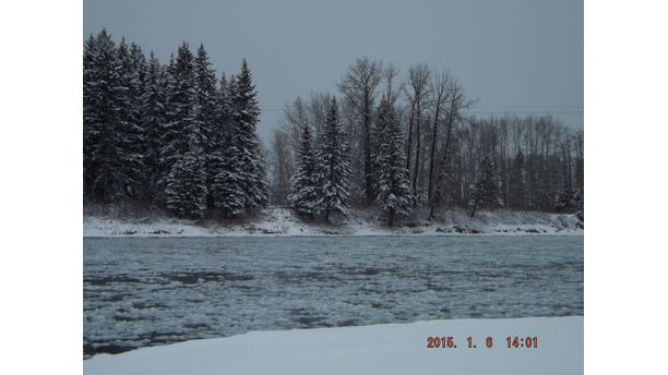 Alberta Winter 