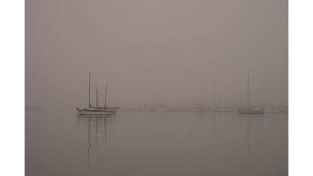 Oak Bay Morning