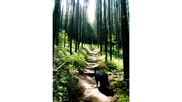 Hank explores Bear Canyon