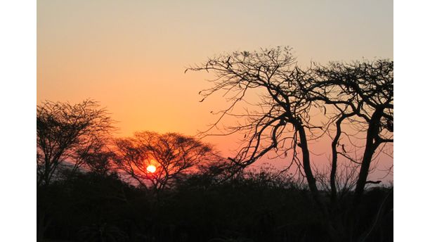 Sunset over Zulu Nyala, South Africa