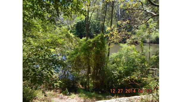 Trail in Lane Cove National Park Sydney