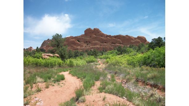 Garden of the Gods kissing camels