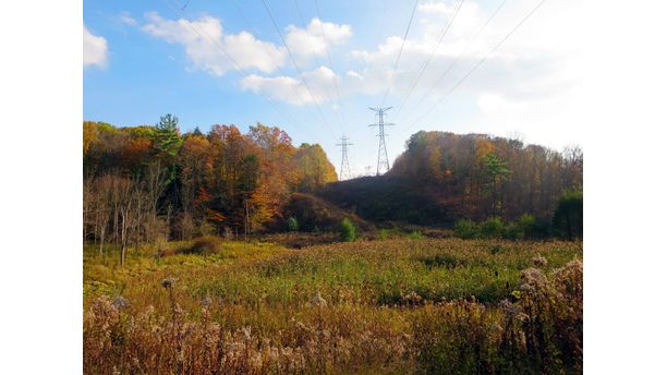 Powerlines at Short Hills