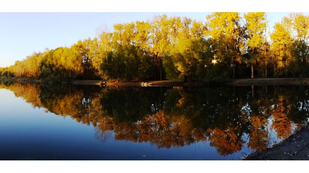 Evening in the park