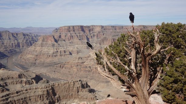 Grand Canyon