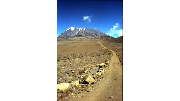 Trail to Kilimanjaro