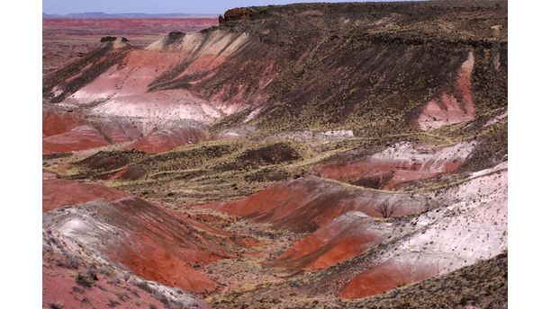 Painted Desert