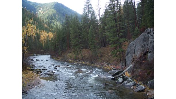 Montana Trout Stream