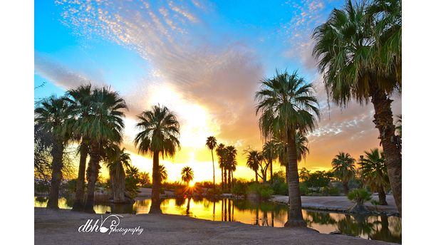 Arizona Relaxation