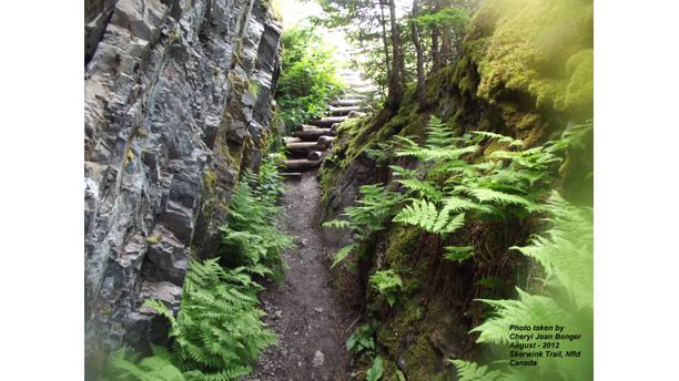 Magical hike on Skerwink Trail