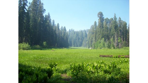 Crescent Meadow