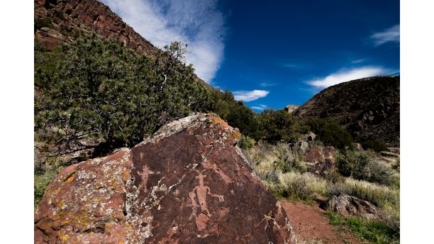 Colorado Petroglyph