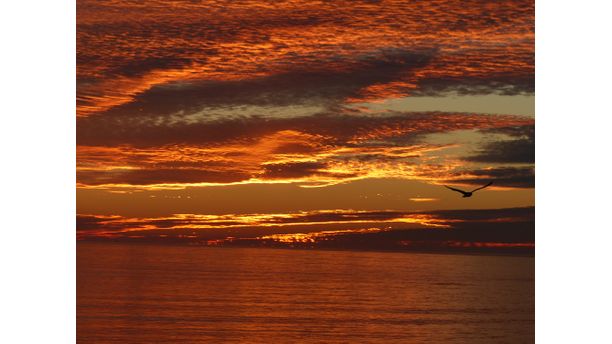 Sunset Over Santa Barbara