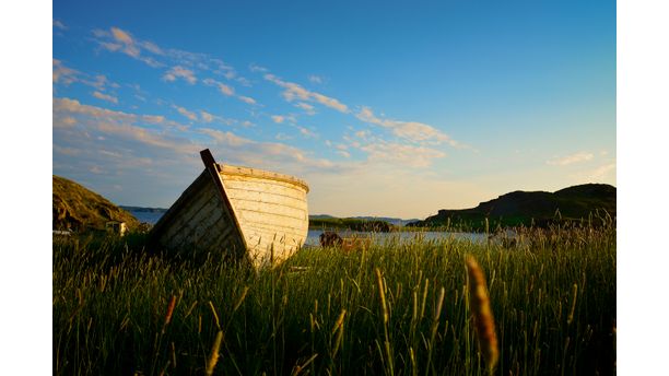 July in Twillingate