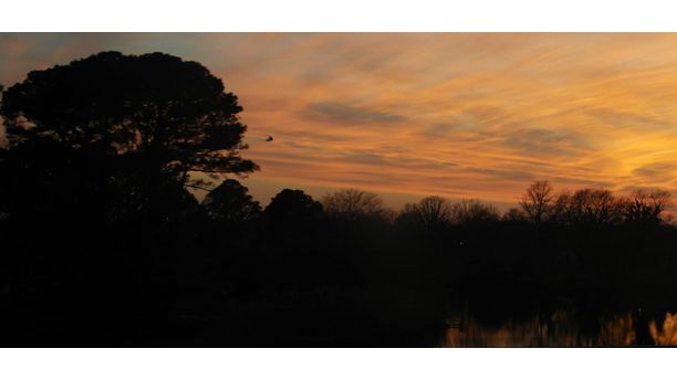 Helicopter at Sunset