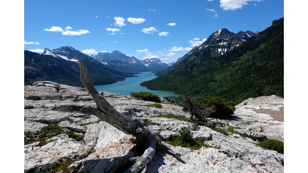 Bear's Hump in Waterton