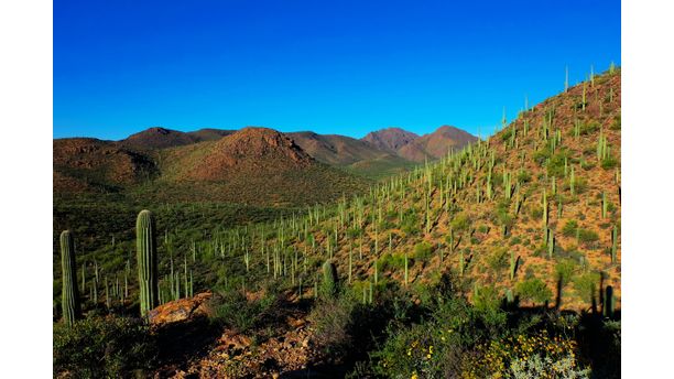 Mountain Park Tuscon AZ