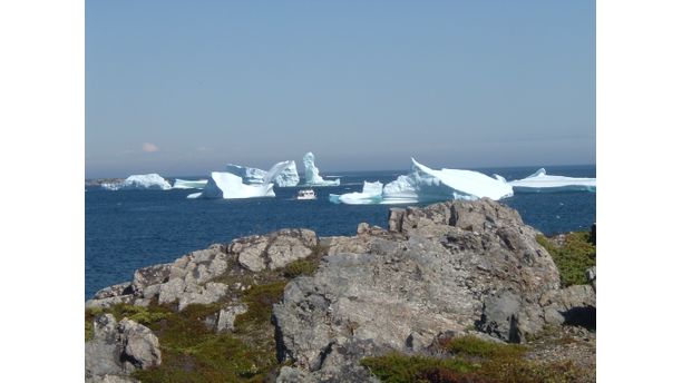 Icebergs off Newfoundland