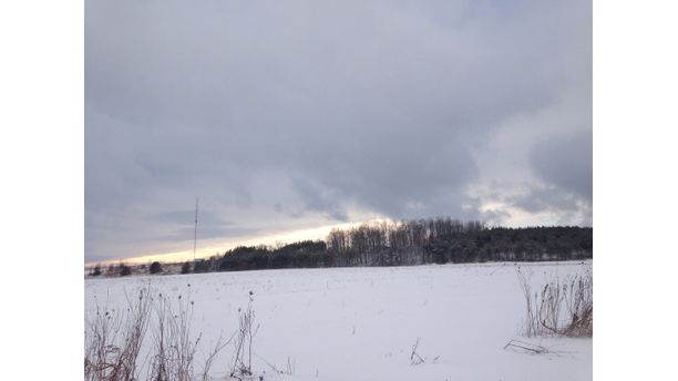 Frozen Fields