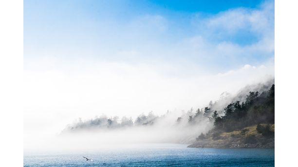 Fog among the Islands