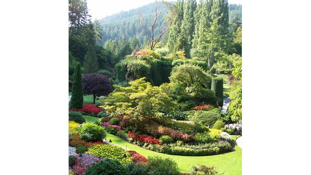 The Sunken Garden