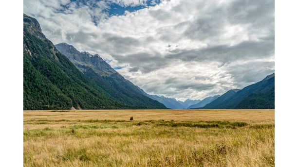 Eglinton Valley, New Zealand