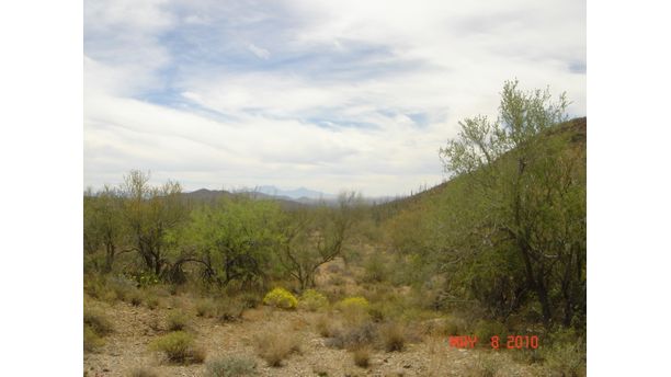 Arizona Sonora Desert