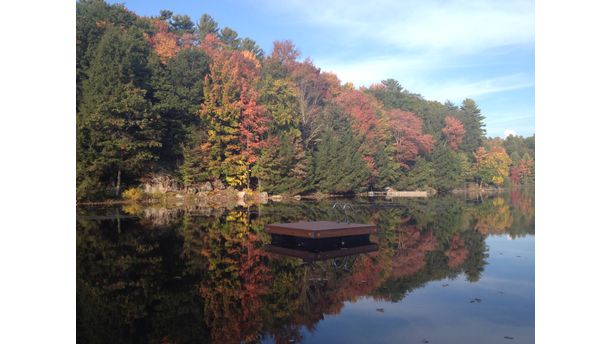 Autumn in Bracebride, Ontario