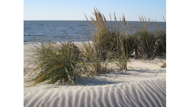 Fortescue, NJ Beach in December, 2008