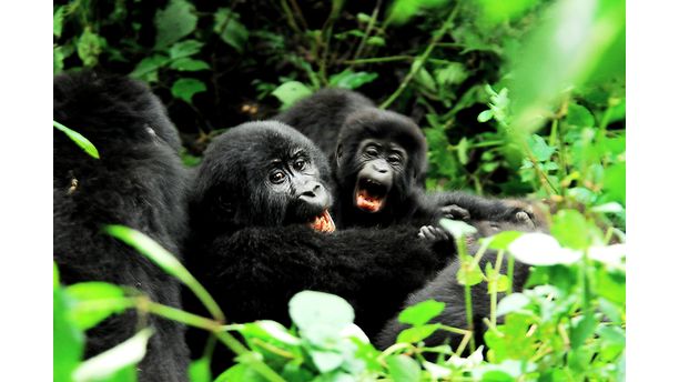 Mother and Child- Love and protection