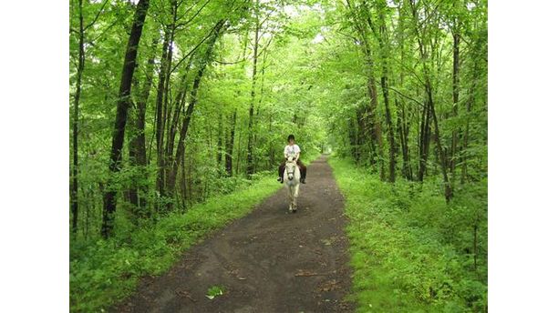 I Love Riding the Trails!