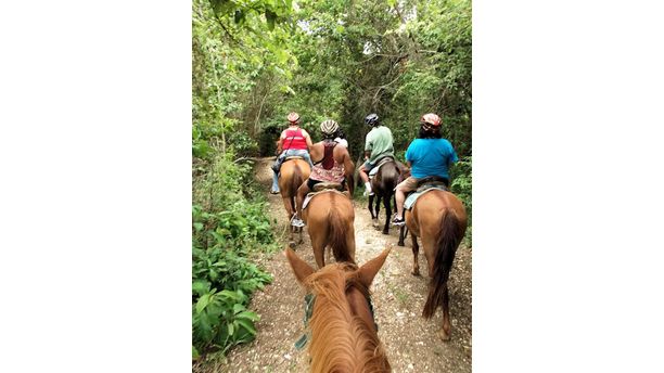 On Horseback in Paradise