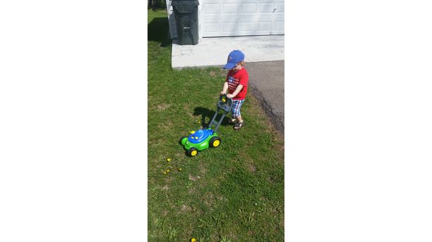 Helping with the lawn!  