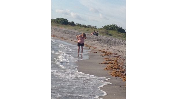 Hunting Sharks Teeth