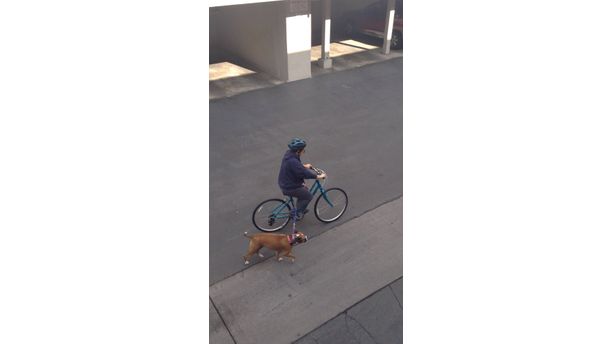 4 Legged Bike Ride