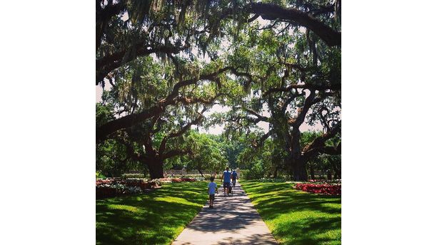 Explore a garden