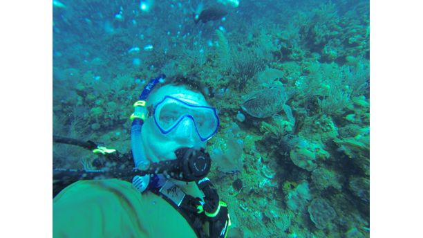 Scuba with sea turtle