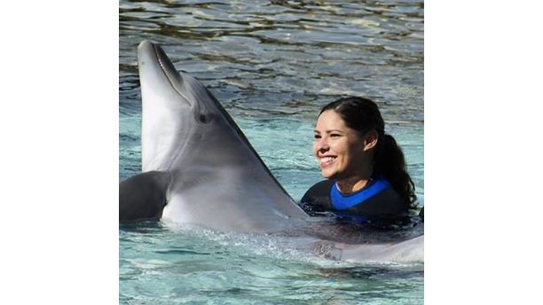 Swimming with the Dolphins