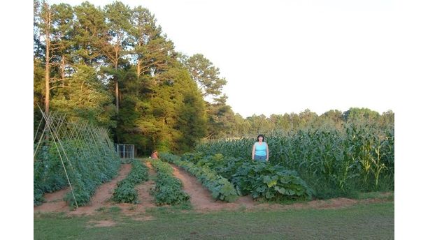 Gardening for Exercise an Food