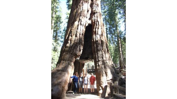 Hiking in Yosemite