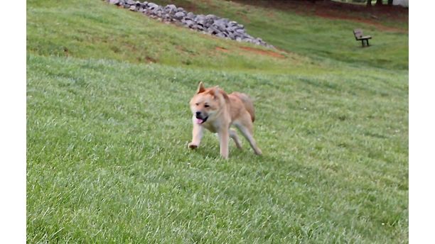 At the park with my dog