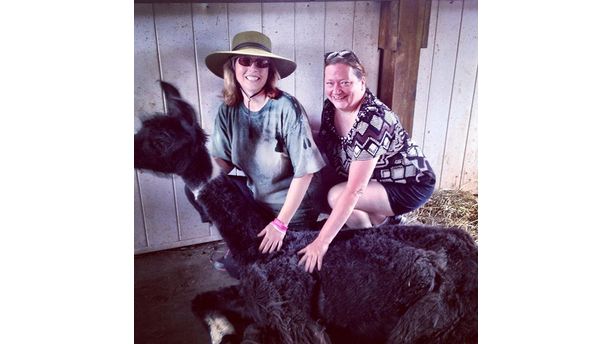 Llama Trekking at a Llama farm