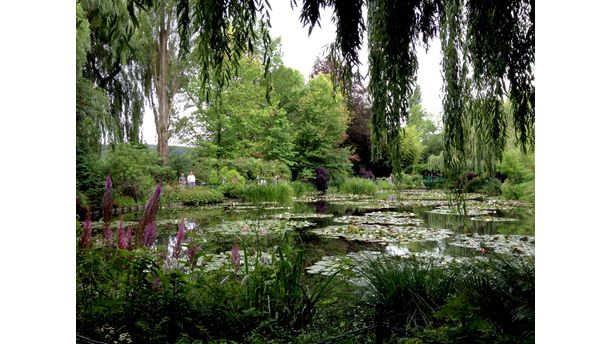 Giverny In July